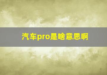 汽车pro是啥意思啊