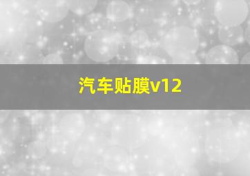 汽车贴膜v12