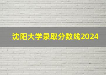 沈阳大学录取分数线2024