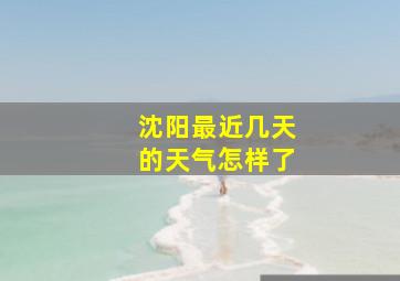 沈阳最近几天的天气怎样了