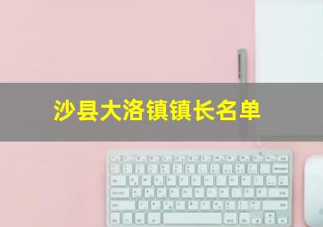 沙县大洛镇镇长名单