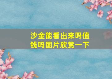 沙金能看出来吗值钱吗图片欣赏一下