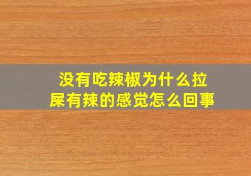 没有吃辣椒为什么拉屎有辣的感觉怎么回事