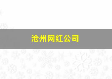 沧州网红公司