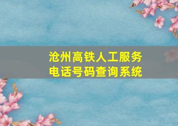 沧州高铁人工服务电话号码查询系统