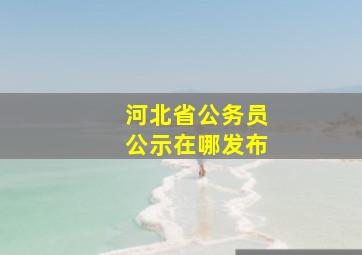 河北省公务员公示在哪发布