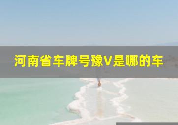 河南省车牌号豫V是哪的车