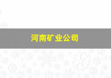 河南矿业公司