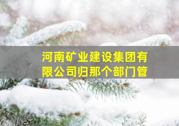 河南矿业建设集团有限公司归那个部门管