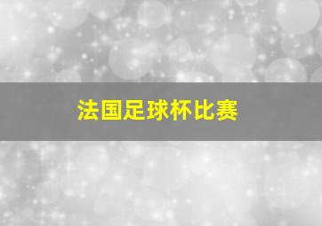 法国足球杯比赛