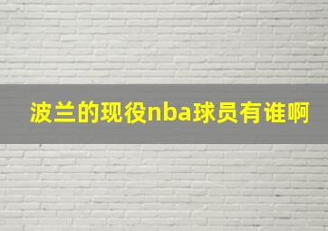 波兰的现役nba球员有谁啊