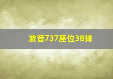 波音737座位38排