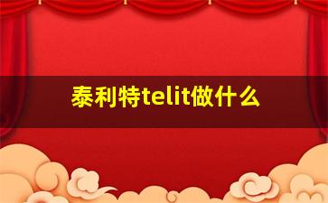 泰利特telit做什么