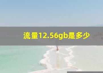 流量12.56gb是多少