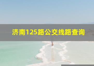 济南125路公交线路查询