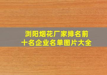 浏阳烟花厂家排名前十名企业名单图片大全