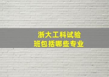 浙大工科试验班包括哪些专业