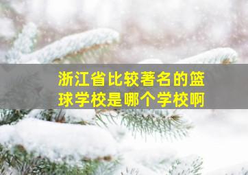 浙江省比较著名的篮球学校是哪个学校啊