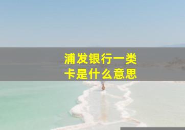 浦发银行一类卡是什么意思