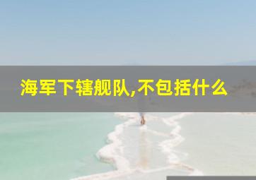 海军下辖舰队,不包括什么