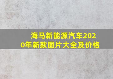 海马新能源汽车2020年新款图片大全及价格