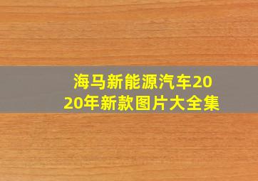 海马新能源汽车2020年新款图片大全集