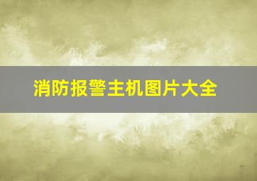 消防报警主机图片大全