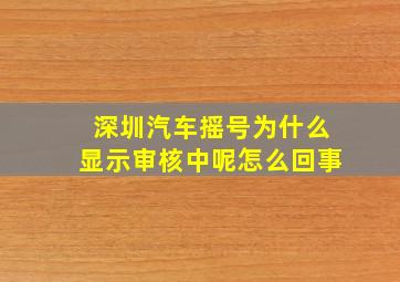 深圳汽车摇号为什么显示审核中呢怎么回事