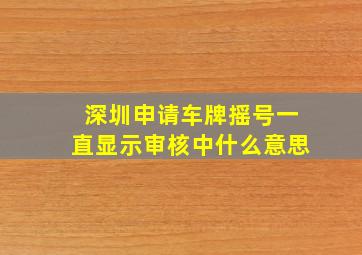 深圳申请车牌摇号一直显示审核中什么意思