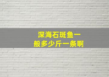 深海石斑鱼一般多少斤一条啊