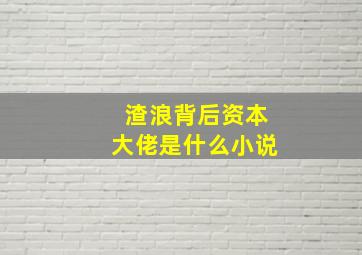 渣浪背后资本大佬是什么小说