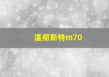 温彻斯特m70