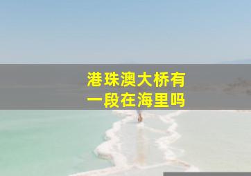 港珠澳大桥有一段在海里吗