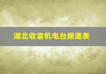 湖北收音机电台频道表