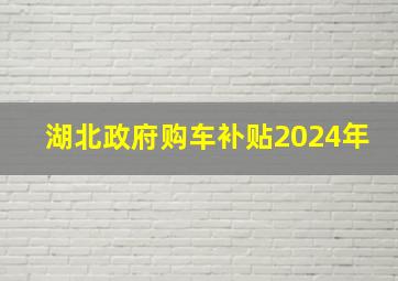 湖北政府购车补贴2024年