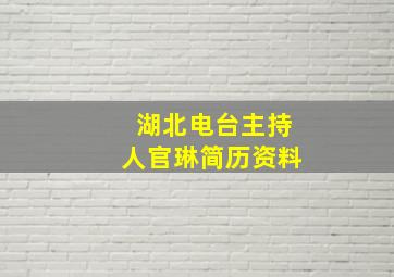 湖北电台主持人官琳简历资料