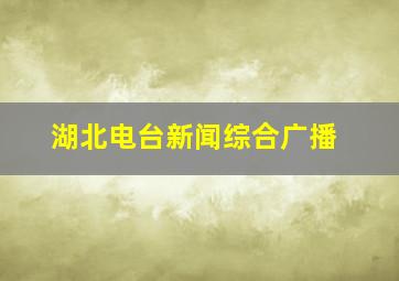 湖北电台新闻综合广播