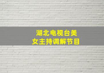 湖北电视台美女主持调解节目