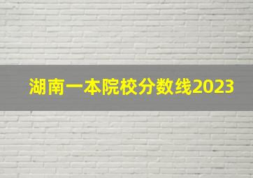 湖南一本院校分数线2023