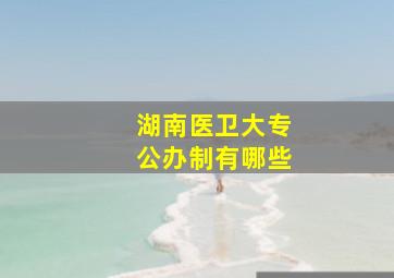 湖南医卫大专公办制有哪些