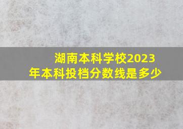 湖南本科学校2023年本科投档分数线是多少