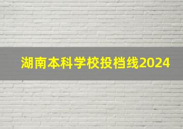 湖南本科学校投档线2024