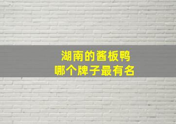 湖南的酱板鸭哪个牌子最有名