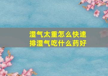 湿气太重怎么快速排湿气吃什么药好