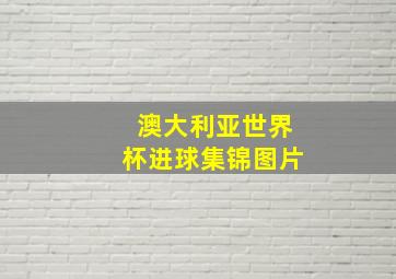 澳大利亚世界杯进球集锦图片