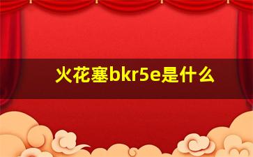 火花塞bkr5e是什么