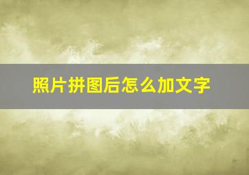 照片拼图后怎么加文字