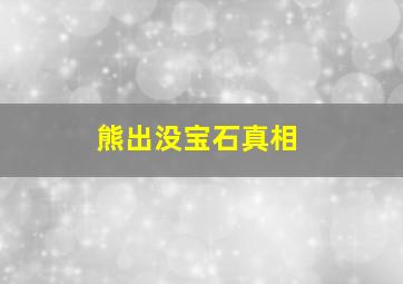 熊出没宝石真相