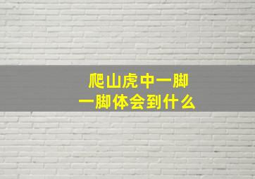 爬山虎中一脚一脚体会到什么