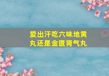 爱出汗吃六味地黄丸还是金匮肾气丸